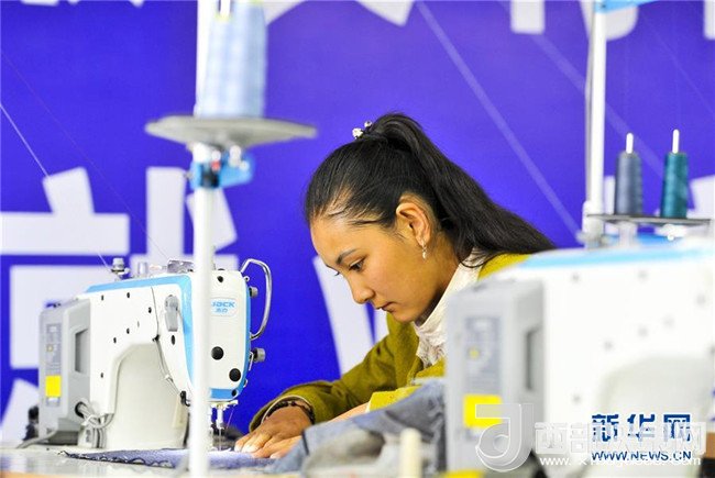 1510885714453339.jpg 5.jpg