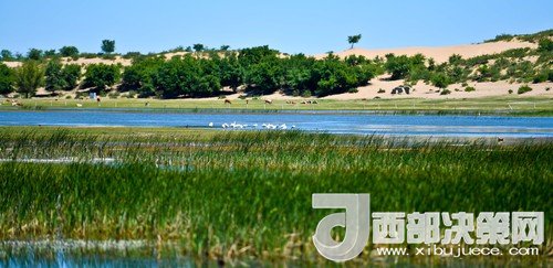 阿魯科爾沁保護(hù)區(qū)濕地沙丘。吳勇攝