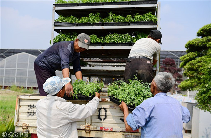 數(shù)字經(jīng)濟已經(jīng)成為我國經(jīng)濟社會更好發(fā)展的重要推動力，也為我國鄉(xiāng)村發(fā)展提供了新的歷史機遇。（圖片來源：視覺中國）