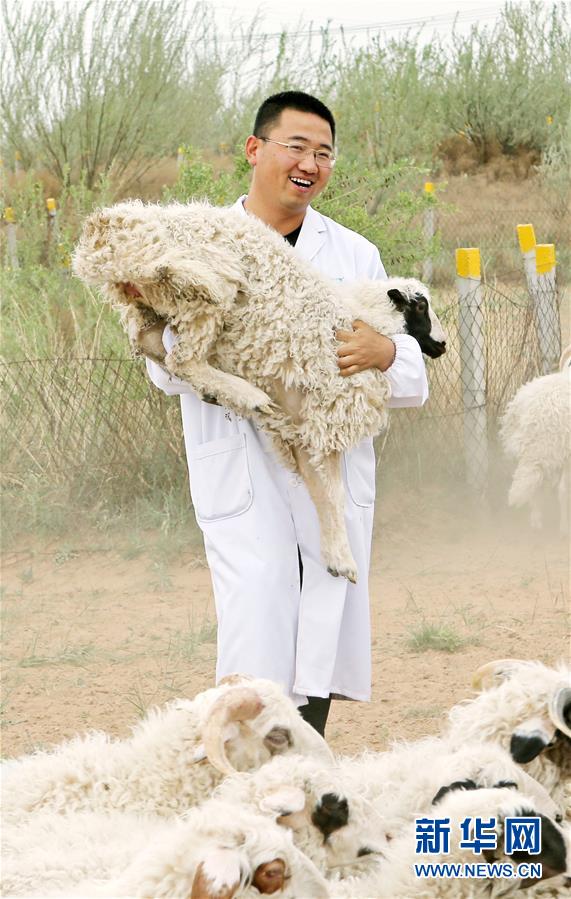 （壯麗70年·奮斗新時代——共和國發(fā)展成就巡禮·圖文互動）（3）生態(tài)美、百姓富——品讀嶄新“寧夏畫卷”