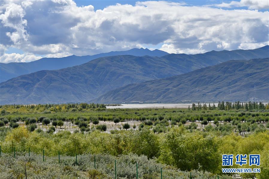 （圖文互動）（4）“今天的生活，就像夢里夢到那樣甜”——寫在西藏百萬農奴解放61周年之際