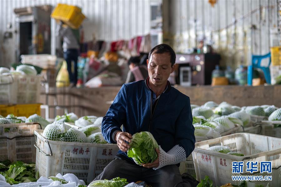 （新華全媒頭條·走向我們的小康生活·圖文互動）（12）綠染云嶺小康路——生態(tài)文明建設(shè)的云南實(shí)踐