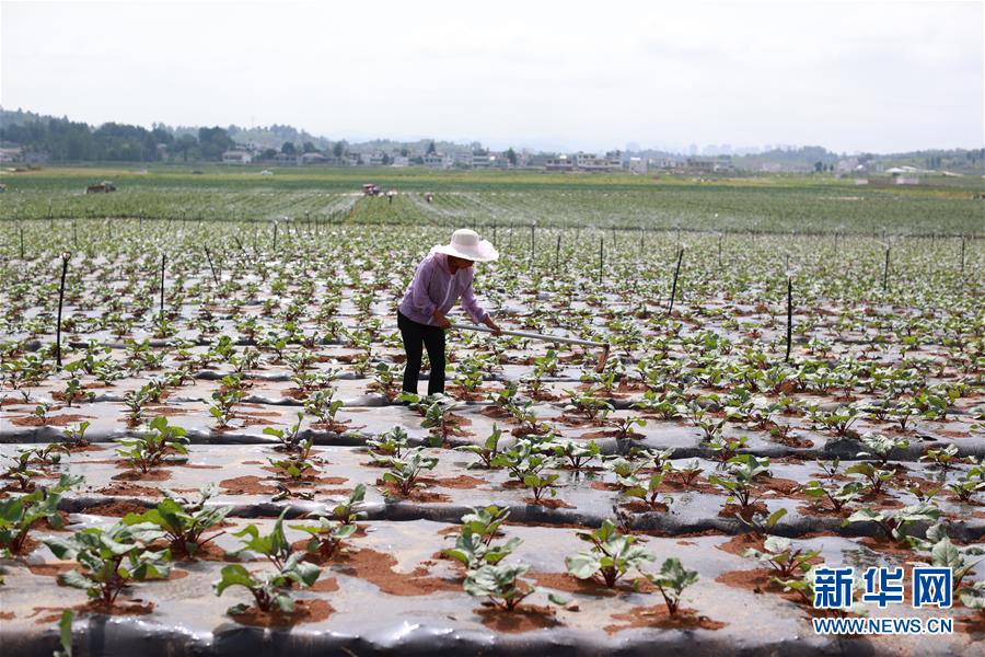 (新華全媒頭條·走向我們的小康生活·決戰(zhàn)決勝脫貧攻堅·圖文互動)(3)千年之渴今朝解——貴州貧困群眾實(shí)現(xiàn)“吃水不愁”