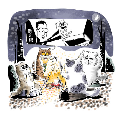 ▲物理學(xué)家薛定諤曾用一只貓比喻量子疊加。圖片來源：視覺中國