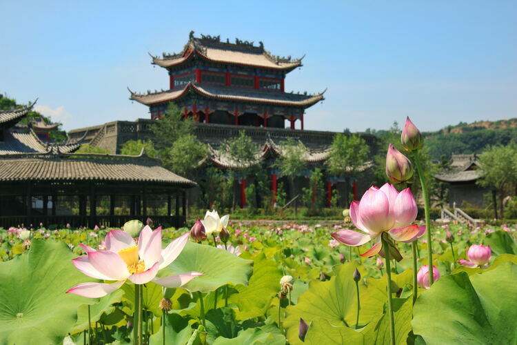 【云游渭南】心中若有桃花源，此處便是水云間！待疫情散盡，一起來(lái)渭南桃花源賞美景、觀民俗、享美食_fororder_2